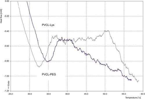 Figure S2 DSC graph of PVCL-PEG and PVCL-Lys.Abbreviations: PVCL, poly(N-vinylcaprolactam); PEWG, poly(ethylene glycol); DSC, differential scanning calorimetry.