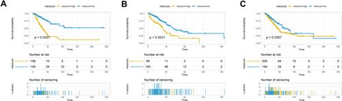 Figure 5 Survival analysis in the high-risk and low-risk groups. Survival curves showing the prognostic value of the risk score calculated by the prognostic risk model in the training set (A), validation set (B), and whole set (C).