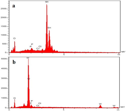Figure 16. EDX spectrum of SnO2 (a) and WO3 (b) nano adsorbent with coexisting of Cl− anion.