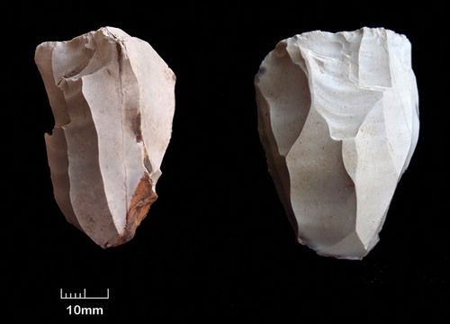 Two Epipalaeolithic cores from Barqa