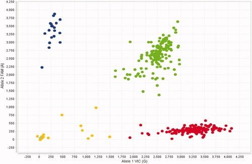 Figure 1. Allelic discrimination plot obtained for the rs336401826 SNP using a TaqMan assay. The x- and y-axes indicate the fluorescence values of the VIC and FAM dyes, respectively, while the dots are individual sample points. The following pig SEC24A genotypes are depicted in this plot: AA (upper left side, N = 19), GA (middle, N = 149) and GG (down right side, N = 152). Samples that were not successfully genotyped are represented by dots in the lower left side. It can be seen that the three SEC24A genotypes are clearly discernible.