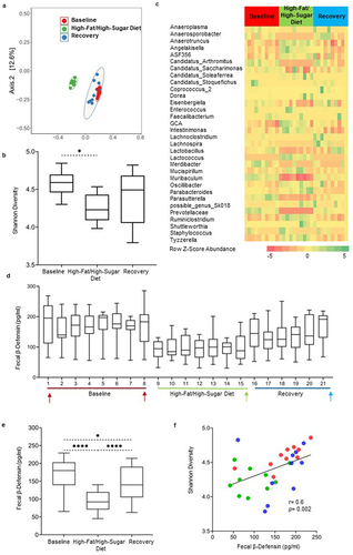Figure 2. The high-fat/high-sugar diet administration transiently disrupts gut microbiota composition and alters fecal β-defensin secretion in mice. a) PCoA plot based on a Bray Curtis distance matrix analysis of the fecal microbiota composition over the course of the experiment in mice. Community composition was compared by ADONIS2 with 999 permutations. Ellipses indicate 95% confidence intervals and were generated as a distribution around a centroid for each group based on ADONIS2. b) Changes in alpha-diversity using Shannon diversity index, analysis was performed by 1- way ANOVA followed by Dunn’s testing for multiple comparisons. Data is presented as box and whisker plot with whiskers extending from 10th to 90th percentile. c) Heatmap of all the significantly differential abundant taxa (aggregated at genus level) in mice evaluated using ANCOM-BC. Color intensity on heatmaps was generated by using z-scores calculated based on relative abundance of each bacterial taxa. d) Time-course graph showing fluctuations in fecal β-defensin-3 values in mice over the course of the experiment. Time points chosen for microbiota analysis are indicated with arrows. e) Composite of mean changes in β-defensin-3 secretion during the three experimental timepoints, presented as box and whisker plot with whiskers extending from 10th to 90th percentile. Statistical differences were calculated using the Kruskal–Wallis test followed by post hoc Dunn’s test for multiple comparisons. f) Correlation between changes in alpha diversity values and defensin secretion in mice during the course of the experiment. Red symbols represent associations between baseline and β-defensin levels, while green and blue symbols represent intervention timepoints and day 21 of recovery time point, respectively. Correlations were generated using Spearman rank index. Baseline days 1 and 7 were combined for the analysis. n = 4–5 mice/group. p < 0.05 was considered significant. **** = p ≤0.0001, *** = p ≤0.001, ** = p ≤0.01, * = p ≤0.05.
