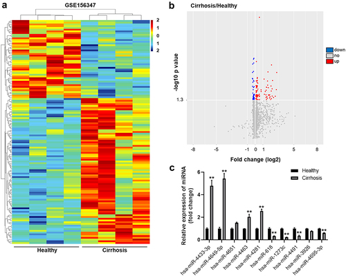 Figure 1. Identification of DEMs expression between liver cirrhosis tissues and healthy controls. (a) Heat map of DEMs in GSE156347 dataset. (b) Volcano plot of DEMs inGSE156347. The red spots represented upregulated miRNAs. The blue spots represented downregulated miRNAs. (c) RT-qPCR was performed to detect the expressions of miR-4433-3p, miR-4649-5p, miR-4651, miR-4463, miR-4281, miR-618, miR-1273 c, miR-4491, miR-3926 and miR-4695-3p in the serum samples of patients with liver cirrhosis and healthy control subjects. **P < 0.01 compared with control group, n = 3.