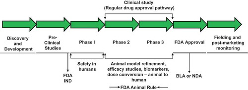 Figure 1. Steps involved in countermeasure development following FDA animal rule. Such countermeasures under development may receive pre-emergency use authorization (pre-EUA) prior to full approval for human use by FDA. BLA, biologics license applications; IND, investigational new drug; NDA, new drug application.