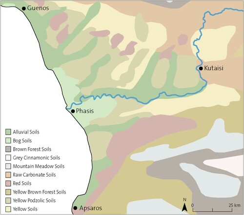 Figure 3. Geological map of the Colchis Valley (Drawing by M. Holappa after Urushadze Citation1999).