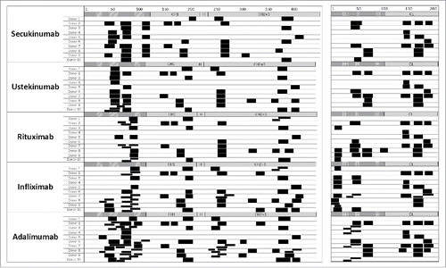 Figure 3. Cluster maps vary across different therapeutic antibodies. Major histocompatibility complex–associated peptide proteomics cluster map of human leukocyte antigen-DR–associated peptides produced by 1.5 × 106 dendritic cells from 10 different donors exposed separately to 5 different therapeutic antibodies is shown. Clusters are indicated as black boxes, Complementarity-determining regions are indicated as shaded areas along the sequence of heavy chain (CH; left) and light chain (CL; right) above each monoclonal antibody. H, hinge region.