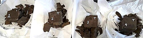 Figure 9. Failure mode of the samples subjected to compressive strength tests.