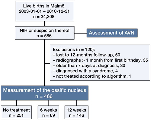 Figure 4. Flow chart detailing inclusion of patients in the study. Assessment of AVN was performed by review of 1-year and subsequent radiographs (Kalamchi-MacEwen grading), hospital files, and a diagnosis registry to a mean observation time of 6.5 years.