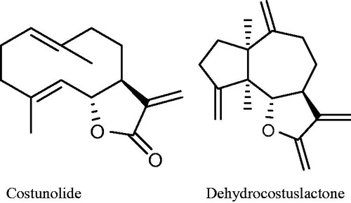 Figure 1. Chemical structures of costunolide and dehydrocostuslactone.