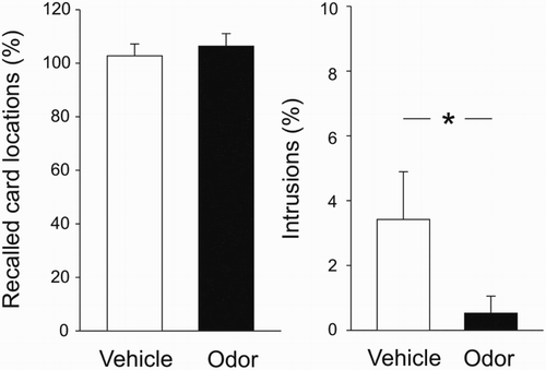Figure 2. Performance on the target memory task after reactivation of the interference memory task during sleep. Recall performance (left) is indicated as per cent of correctly recalled card locations at retrieval relative to learning performance. The odour and vehicle conditions did not differ significantly. Intrusions (right) are indicated as per cent of card locations from the interference memory task falsely indicated during recall of the target memory task, relative to learning of the interference memory task. Participants displayed fewer intrusions following odour presentation compared to vehicle.* p < .05.