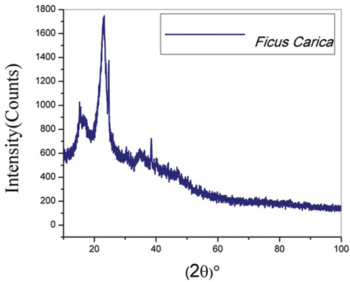 Figure 3. XRD spectrum of FCBF fiber.