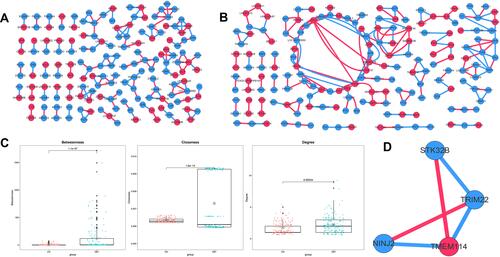 Figure 2 Disease-related co-expression network. (A) Co-expression network of Ctrl group. (B) Co-expression network of DBT group. (C) Topology properties of Ctrl and DBT group co-expression network. (D) Sub-network of DBT group. Red nodes indicate up-regulated DEGs, blue nodes indicate down-regulated DEGs, red lines represent positive correlation, and blue lines represent negative correlation. *Indicates the average of the data in each group.