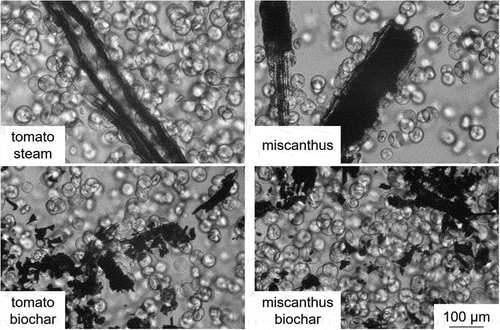 Figure 8. PLM microphotographs of tatren HT306 iPP after 20 minutes of isothermal crystallization in the presence of appropriate additives.