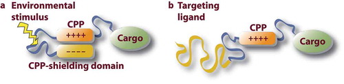 Figure 2. Targeting strategies for the development of DDS. (a) Passive targeting with environmental activation of the DDS. The environmental stimulus can be tissue-specific difference in enzyme levels, pH, temperature, ROS levels etc. (b) Covalent conjugation of the affinity ligand, CPP functionality and a cargo biomolecule. The targeting ligand can be an antibody (fragment), homing peptide, receptor ligand etc