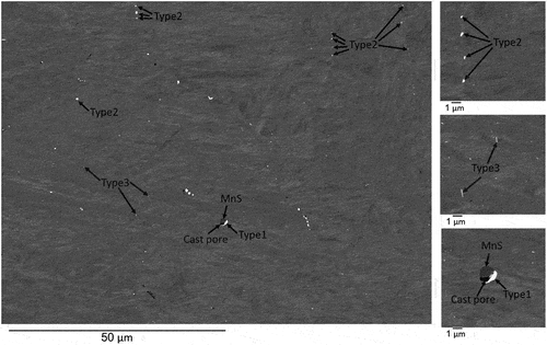Figure 3. BSE-SEM micrograph shows Ta enriched particles in the as-received material.