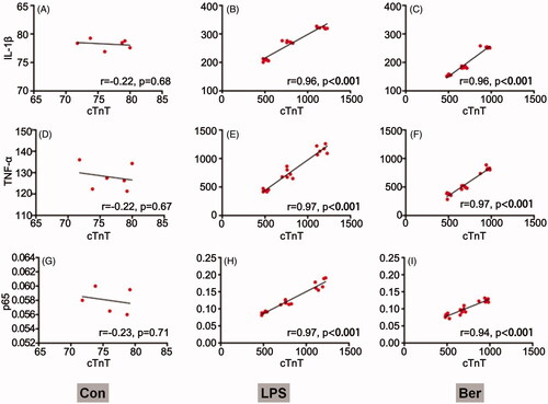 Figure 4. Correlation between cTnT and NF-κB signalling. Associations of cTnT amounts with IL-1β, TNFα and p65 levels in the Con (A, B, C), LPS (D, E, F) and Ber (G, H, I) groups, assessed by Pearson correlation analysis r correlation coefficient. p < 0.05 indicates a valid correlation.