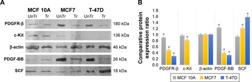 Figure 9 The effect of imatinib mesylate treatment on PDGFR-β, c-Kit, PDGF-BB and SCF protein expression related to untreated cell lines.