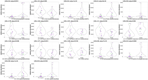 Figure 2. Violin plots for sulfur-related enzyme functional potential (DNA gene copy) after RYGB compared to pre-surgery. Difference in DNA abundance is measured using linear discriminant analysis (LDA). P values adjusted for multiple comparisons. Purple dots represent females and green dots, males.