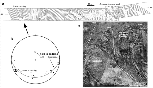 Figure 3  Section through the folded sequence of TZ 1 turbidites near Fiddlers Flat. A, Cross-sectional view of the wall of the Manuherikia river gorge. B, Lower hemisphere, equal area stereonet of poles to bedding in the folded area in A (arrowed). Open circle is the axis of this fold, with associated great circle. C, Annotated photograph of the dashed box in A, showing complexly folded and faulted bedded turbidites adjacent to two thick greywacke slabs.