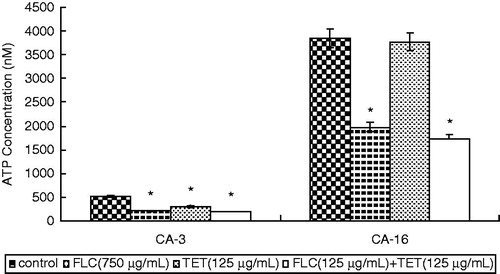 Figure 4. Intracellular ATP content in fluconazole-sensitive CA-3 and resistant CA-16 cells that were either treated with FLC and/or TET or left as untreated controls. ATP levels represent the mean ± standard deviations for three independent experiments. *p < 0.05 versus control cells.