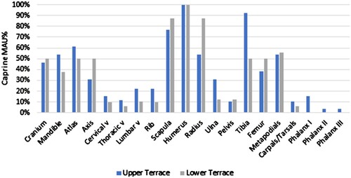 Figure 7. Body Part Comparison of Caprines from the Upper and Lower Terrace, based on Minimal Animal Units %.