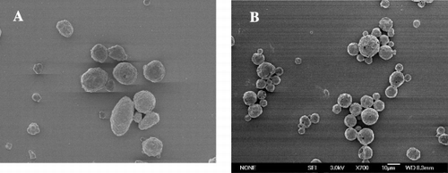 Figure 3. SEM pictures of bHb‐loaded microcapsules fabricated by: (A) PELA30k(2k), (B) PELA90k(5k).
