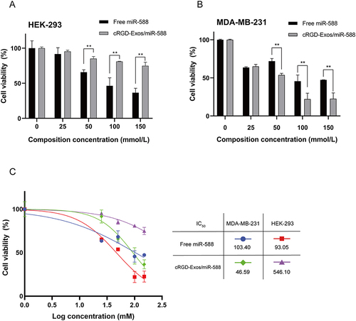 Figure 5 In vitro cytotoxicity of free miR-588 and cRGD-Exos/miR-588 on (A) HEK-293 cells. (B) MDA-MB-231 cells. (C) IC50 of free miR-588 and cRGD-Exos/miR-588 in MDA-MB-231 and HEK-293. In all graphs, statistics were represented as mean ± SD. **P < 0.01.