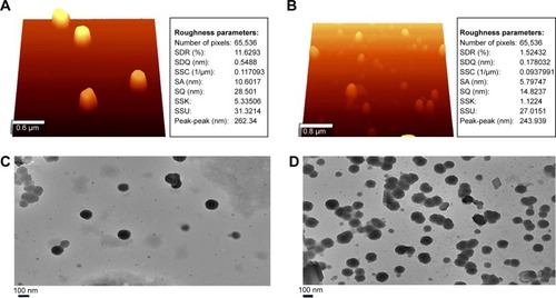 Figure 1 Surface morphology of niosome formulation was visualized using AFM and TEM: (A) AFM image of NISV–D4; (B) AFM image of NISV–PA; (C) TEM image of NISV–D4; and (D) TEM image of NISV–PA.Abbreviations: AFM, atomic force microscopy; D4, PA Domain 4; NISV, nonionic surfactant–based vesicles; PA, protective antigen; TEM, transmission electron microscopy; SDR, Surface area ratio; SDQ, Root mean square gradient; SSC, Surface mean summit curvature; SA, roughness average; SQ, Root mean square height; SSK, Skewness; SSU/SKU, Kurtosis of topography height distribution.
