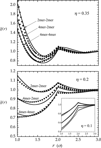 Figure 4. Average intermolecular site–site distribution functions () for a 4mer–2mer tangent hard-sphere chain mixture as calculated from CIE theory (lines) and MC simulation (symbols). Results are given at moderate density (η  = 0.2) in the lower panel, low density (η  = 0.1) in the inset, and at high density (η  = 0.35) in the upper panel, all cases corresponding to a composition of x 2mer  = x 4mer  = 0.5. Shown, respectively from top to bottom (at each density), are the distributions, , , and . (See the first paragraph of Section 3 for additional model details.)