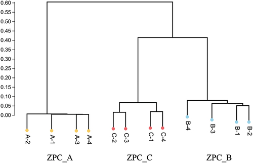 Figure 8. Comparison of diﬀerences and similarity of the bacterial community structures among three types of ZPC samples by Cluster-tree. The clustering map was based on OTUs pattern and weighted_Unifrac distance.
