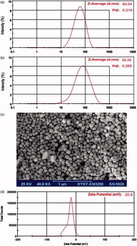 Figure 1. Physical characterization of the EGCG-loaded NLC-RGD. Size and polydispersity index (PDI) of nanoparticles, (a) after preparation, (b) after 2 months of storage at 4–8 °C, (c) scanning electron microscopy (SEM) image of NPs, (d) Zeta potential distribution of nanoparticles.