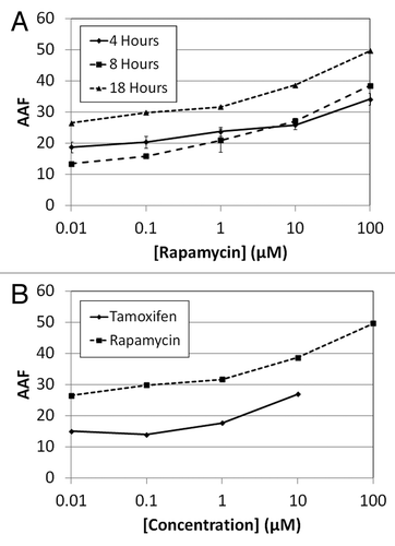 Figure 7. Calculated AAF values for drug dose response effects in Jurkat cells. (A) The calculated AAF values for rapamycin showed approximately 20% increase in autophagy at 18 h incubation. The 4 and 8 h samples were comparable, indicating rapamycin required more than 8 h of incubation in order to induce noticeable autophagy. (B) Both visually and analytically, rapamycin showed higher autophagic signals than tamoxifen after 18 h incubation. It was interesting to note that tamoxifen induced cytotoxicity at the highest concentration in contrast to rapamycin.