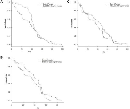 Figure 10 Survival rate of female Drosophila melanogaster following treatment with DLBS1649 and riboflavin. (A) Treatment with 2 µg/mL DLBS1649. (B) Treatment with 20 µg/mL DLBS1649. (C) Treatment with 120 µg/mL riboflavin.