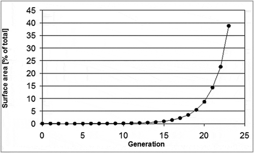 Figure 3. For each consecutive airway generation, concentrations will be lower as the total surface area of the airway surface increases exponentially