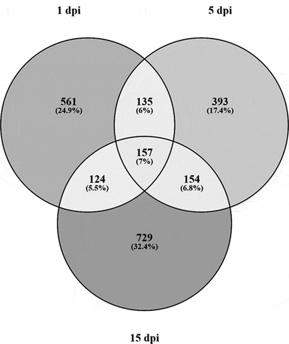 Figure 5. Venn diagram of unique and shared DMRs across the disease