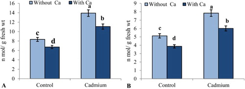 Figure 1. Effect of Cd stress (0.1 mM CdCl2) on (A) H2O2 (nmol g−1 fresh wt) and (B) MDA (nmol g−1 fresh wt) in leaves of S. indicum with and without added calcium (50 mM CaCl2). Data presented are the means ± SE (n = 5).