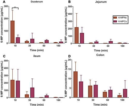 Figure 6 The absorption of 6-MP for 6-MPNs in duodenum (A), jejunum (B), ileum (C), and colon (D), compared with 6-MPCs (n = 6) (**P < 0.01).