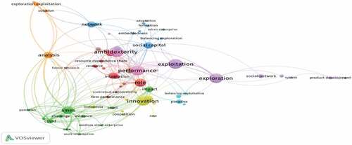 Figure 4. Network mapping of the literature.