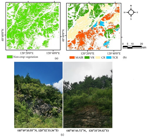 Figure 4. Vegetation in the study area (a) a mask generated from the WorldCover map; (b) a referenced bedrock map in the vegetated area (c) pictures captured during the field survey in August 2022nd.