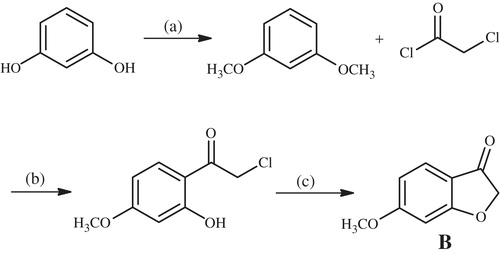 Scheme 2. The synthesis of 6-methoxybenzofuranone (B). Reactants/reagents and reaction conditions. a: (CH3)2SO4, NaOH, acetone, reflux, 4 h; b: AlCl3, CS2, dichloromethane, reflux, 30 min; c: CH3COONa, EtOH, reflux.