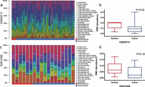 Figure 3. GSE90713 and GSE12368 cohort were used to validate TIMC’s role in microenvironment. (a-d) The abundance of TIICs varies from sample to sample and TIMC abundance of normal samples is higher than that of tumor tissues in both GSE90713 and GSE12368.