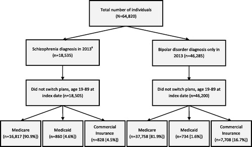 Figure 1. Patient flow selection criteria. *Any individual with a schizophrenia and bipolar disorder diagnosis was placed in the schizophrenia group.