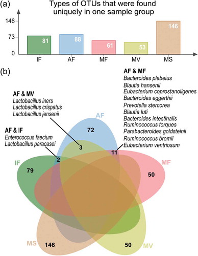 Figure 2. Distribution of sample type-specific operational taxonomic units (OTUs). (a) Types of OTUs that were found exclusively in one sample group. (b) Venn diagram showing common species between sample types, despite they were indeed assigned to different OTUs. The amniotic fluid-maternal feces, amniotic fluid-vaginal fluid, and amniotic fluid-meconium sample pairs shared eleven, three, and two common species, as listed (Table S2 for complete data). This analysis only included OTUs that were detected in more than two samples of the same sample group. IF: meconium; AF: amniotic fluid; MF: maternal feces; MS: maternal saliva; MV: vaginal fluid.