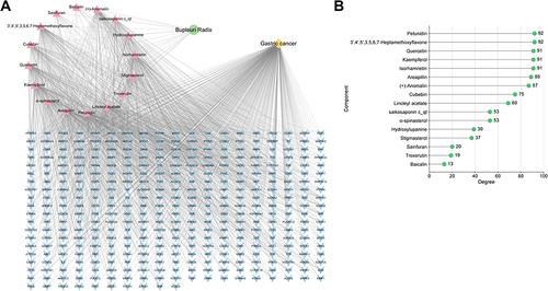 Figure 3 The network containing the components of Radix Bupleuri and gene targets. (A) The bioactive ingredients-target network was constructed using Cytoscape 3.10 software. The green circle represents Radix Bupleuri; the yellow diamond represents GC; the pink triangle represents the 16 active components of Radix Bupleuri; and the blue V represents the target gene. (B) Degree values of 16 components of Radix Bupleuri.