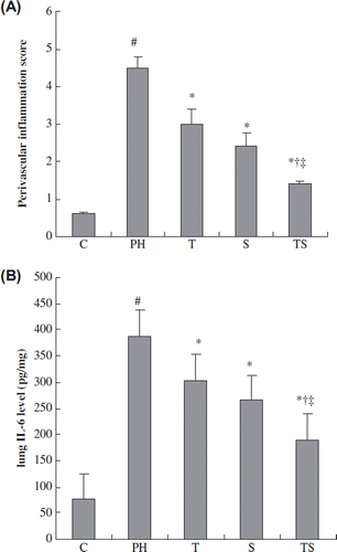 Figure 5. The effect of combination therapy on lung IL-6 levels and the perivascular score. C, control group; P, PH group; T, tadalafil group; S, simvastatin group; TS, combination group. The data are presented as means ± SEMs. #p < 0.001 vs. the control group; *p < 0.05 vs. the PH group; †p < 0.05 vs. the tadalafil group; ‡p < 0.05 vs. the simvastatin group.