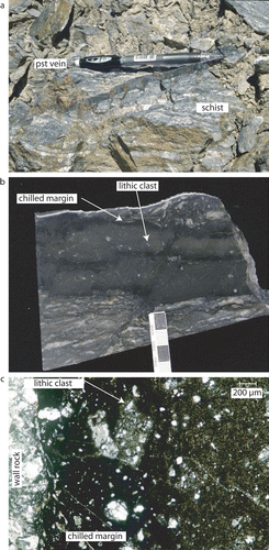 Fig. 2  (A) Typical thick (c. 1 cm thick) pseudotachylyte vein in outcrop formed of schist host rock (pen 15 cm long for scale, with pseudotachylyte vein at pen tip). (B) Thickest pseudotachylyte vein found at Tucker Hill (c. 5 cm thick) examined in thin section. Note several sets of chill margins and quartz lithic clasts. Ruler (cm markings) for scale. (C) Photomicrograph showing a typical margin of a pseudotachylyte vein. Note numerous lithic clasts, especially in margin of vein. Tiny potassium feldspar microlites (10 µm scale) can be seen in right side of photomicrograph (away from chill margin).