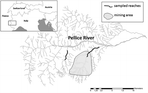 Figure 1. River Pellice basin and study area; black lines indicate sampled reaches and the grey zone indicates mining area.