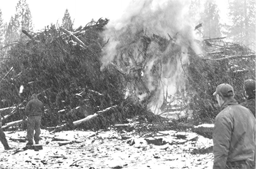 Figure 1. Open pile burn of forest fuel treatment woody biomass in Lake Tahoe Basin.