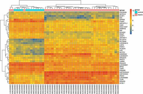 Figure 2. Heatmap of differentially expressed genes (DEGs). The top 20 upregulated and downregulated genes, examined in GSE100159, are visualized in the heatmap plot. The X-axis indicates samples, while the Y-axis represents genes. Gene expression is ranked from dark blue (low expression) to red (high expression) color. Samples are divided into two groups: patients with sepsis (pink) and healthy controls (light blue)