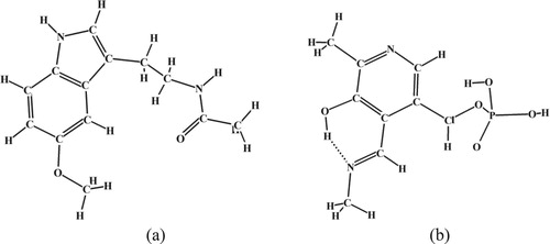 Figure 4. Stable conformations of melatonin (a) and pyridoxal-5′-phosphate methylamine (b).